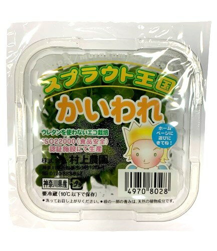 【朝市場直行】神奈川県ほか　かいわれ　貝割れ大根　カイワレ　PC　約50g【冷蔵】