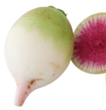 【朝市場直行】中国ほか 紅芯大根 1個 約300g x6個セット【冷蔵】