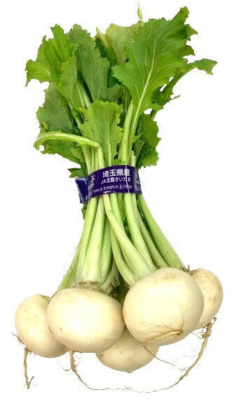 【朝市場直行】埼玉県ほか かぶ 1束 約350g~600g x6個セット【冷蔵】