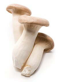 【送料無料】【朝市場直行】新潟県ほか エリンギ PC 約100g x2個セット【冷蔵】