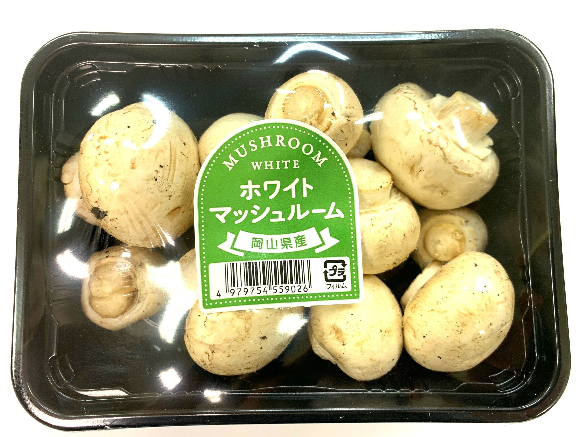 【朝市場直行】茨城県ほか　ホワイトマッシュルーム　PC　約100g　x6個セット【冷蔵】