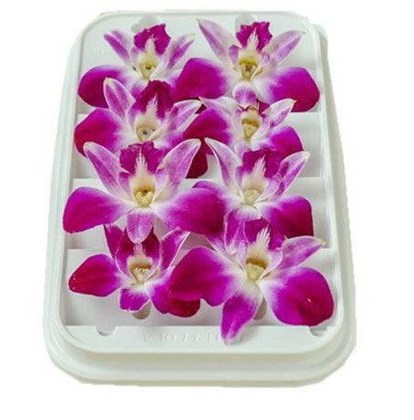 【朝市場直行】タイ産 デンファレ(飾り花)PC 約30g x4個セット【冷蔵】