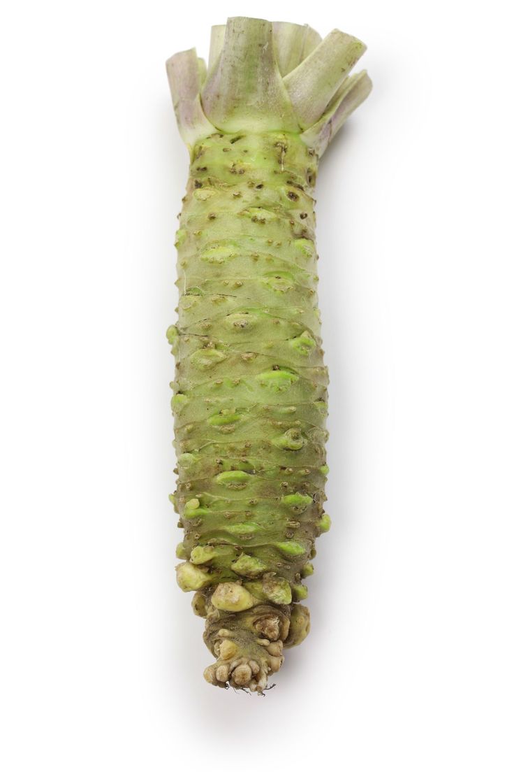 【朝市場直行】静岡県ほか 本わさび Lサイズ 1本 約100g x6個セット【冷蔵】