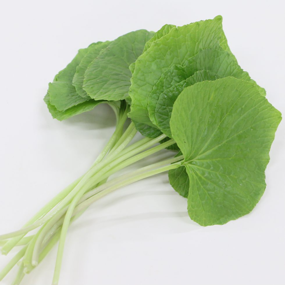 【送料無料】【朝市場の新鮮野菜】葉わさび　束約35g　x2個セットのサムネイル
