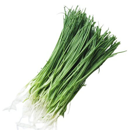 【朝市場直行】静岡県ほか 芽ねぎ PC 約25g x6個セット【冷蔵】