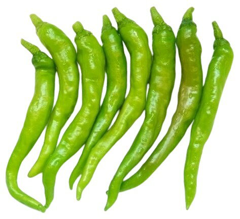 【朝市場直行】高知県ほか 甘長しし唐辛子(あまながししとうがらし)約100g x6個セット【冷蔵】