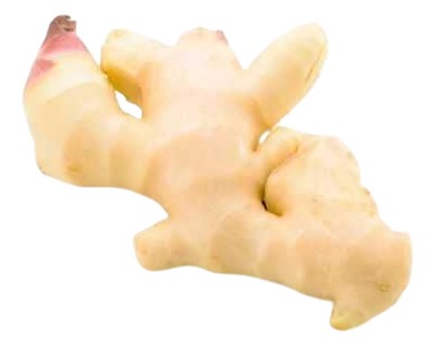 【朝市場直行】高知県ほか 新生姜 約100g x6個セット【冷蔵】