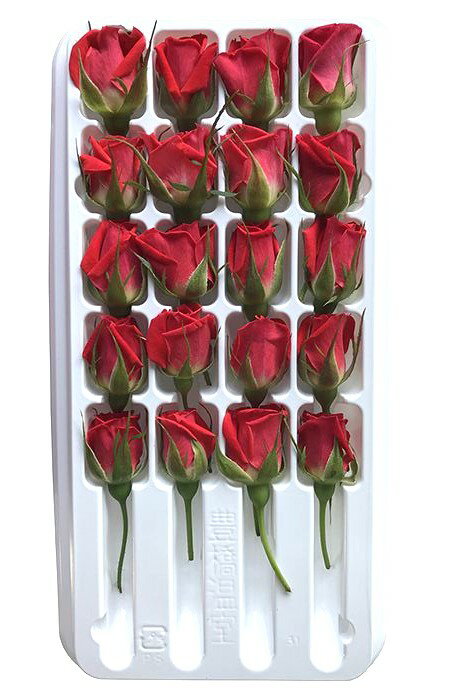 【朝市場直行】愛知県ほか 食用ミニバラ ベルローズ 20個入り PC 約25g x4個セット【冷蔵】