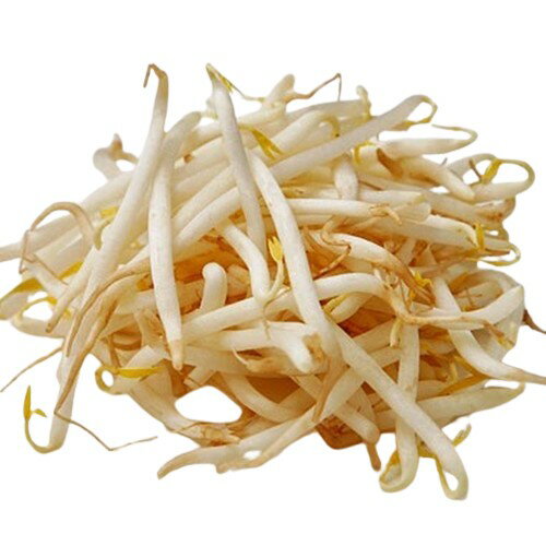 【朝市場直行】栃木県ほか もやし小(袋)250g x6個セット【冷蔵】