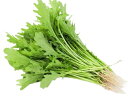 【朝市場直行】茨城県ほか からし菜(リーフマスタード)PC 約50g x6個セット【冷蔵】