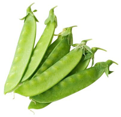 【送料無料】【朝市場直行】鹿児島県ほか 絹さや(きぬさや)約1kg x2個セット【冷蔵】