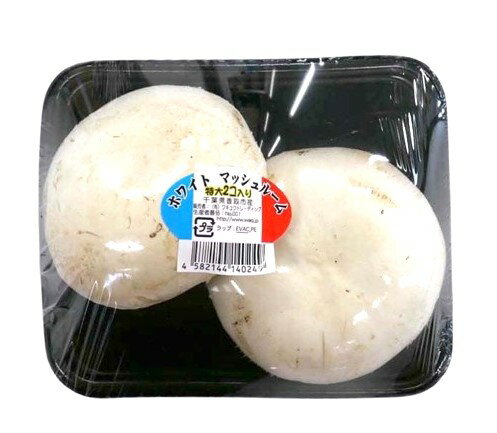 【朝市場直行】千葉県ほか ジャンボマッシュ(白)2~3個入りPC 約200g x6個セット【冷蔵】