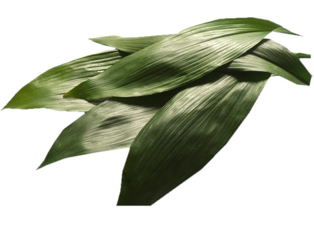 【朝市場直行】ハラン 束 約200g x6個セット【冷蔵】