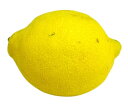 【朝市場直行】フルーツ　柑橘類　国産 有機 レモン　高知県ほか　1個　約110g【冷蔵】