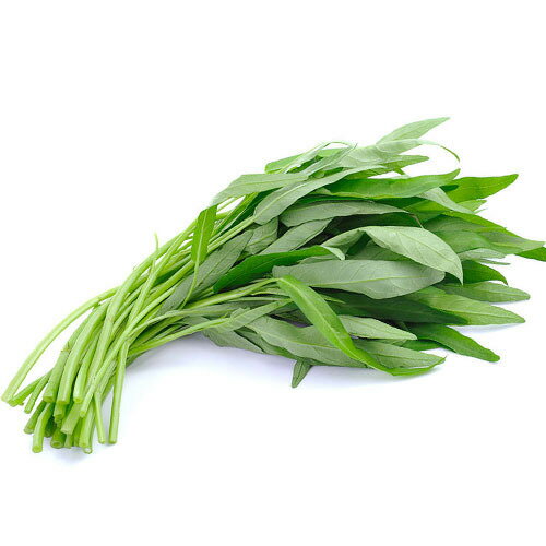 【朝市場直行】茨城県ほか エンサイ 空心菜 空芯菜(袋)約100g x4個セット【冷蔵】