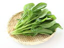 【送料無料】【朝市場の新鮮野菜】サラダほうれん草　（袋）　x2個セット