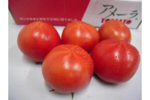 【朝市場の新鮮野菜】アメーラトマト　1kg（ケース）【冷蔵】