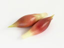 【送料無料】【朝市場の新鮮野菜】みょうが (袋) (約50g)x2個セット【冷蔵】