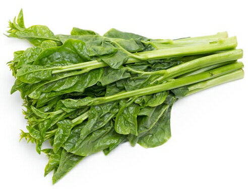 【朝市場直行】徳島県ほか つるむらさき 約100g x6個セット【冷蔵】