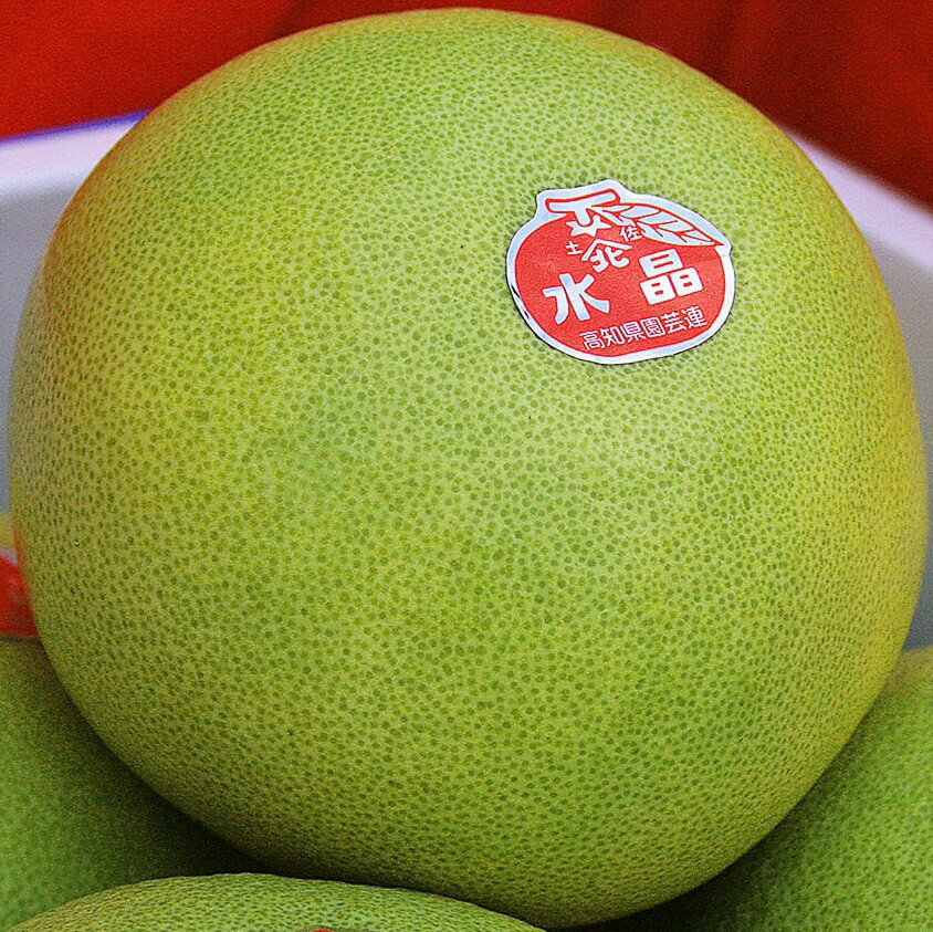 【朝市場直行】高知県ほか 水晶文旦(すいしょうぶんたん)1個 x6個セット【冷蔵】