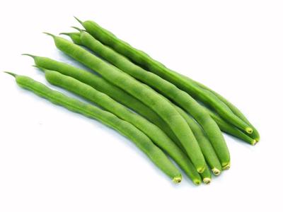 【送料無料】【朝市場の新鮮野菜】インゲン　Mサイズ　1kg　x2個セット【冷蔵】