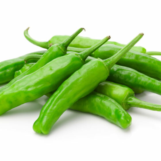 【朝市場直行】高知県ほか ししとう(約30本入)PC 約100g x6個セット【冷蔵】