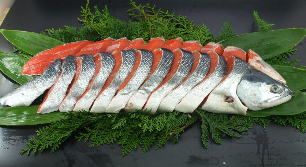 お歳暮　2024冬ギフト函館朝市船岡商店　北洋産本紅鮭半身（うす塩）北洋産紅鮭　半身 約1.3kg（15切）【冷凍】【代引不可・同梱不可】