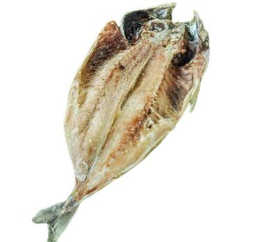 【BlackFridayセール・ポイント10倍】【朝市場直行】かねせい水産ほか 真アジ開き干し オランダ 1枚 150-180g位【冷凍】