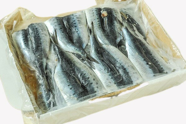 【BlackFridayセール・ポイント10倍】【朝市場直行】東和水産 冷凍イワシ 開きイワシ(箱入り・30尾)日本 1.5kg位【冷凍】