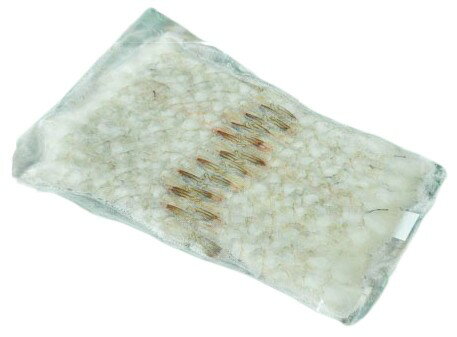 BlackFriday롦ݥ10ܡۡīԾľԡۥӡդभФХʥᥤϷ26-30ˡ20˥٥ȥʥۤ200-210g̡...