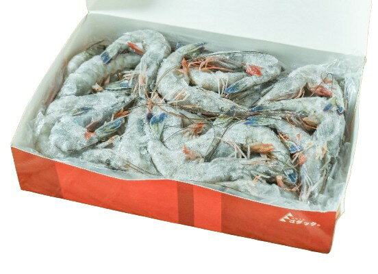 【BlackFridayセール・ポイント10倍】【朝市場直行】エビ　天使の海老（入数50-60尾）ニューカレドニア 1000g位【冷凍】367250(4)