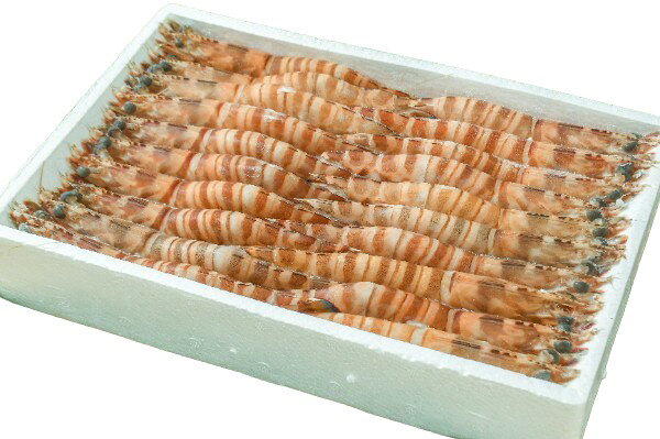 【朝市場直行】エビ　有頭殻付き車海老（15）中国ほか（入数15尾）1000g位【冷凍】401788