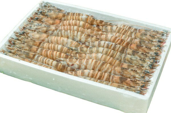 【朝市場直行】エビ　有頭殻付き車海老（22）中国ほか（入数22尾）1000g位【冷凍】381811