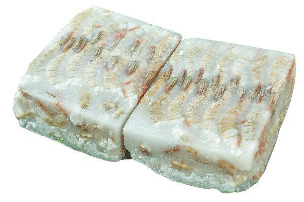 【BlackFridayセール・ポイント10倍】【朝市場直行】エビ　無頭殻付きホワイト海老（16-20）（入数64-8..