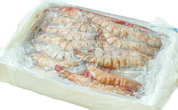 【朝市場直行】エビ　有頭イリアンタイガー（40）（入数40尾位）インドネシアほか　1500g位【冷凍】382..