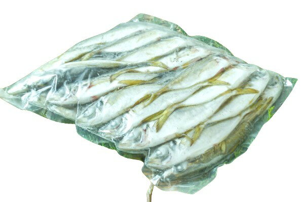 【BlackFridayセール・ポイント10倍】【朝市場直行】TORAYA 小アジ マアジ(巻網)愛媛県宇和島(7-10尾位入り)1kg位【冷凍】