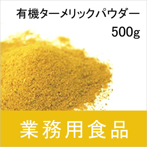 【送料無料】第3世界ショップ　業務用　有機ターメリックパウダー　500g