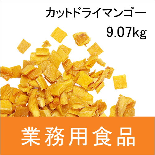 【送料無料】第3世界ショップ　業務用　カットドライマンゴー　9.07kg