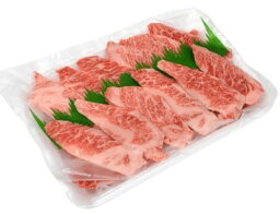 精肉専門店直行　牛肉　焼肉　黒毛和牛ダイナミックカルビ　国産　500g【冷凍】