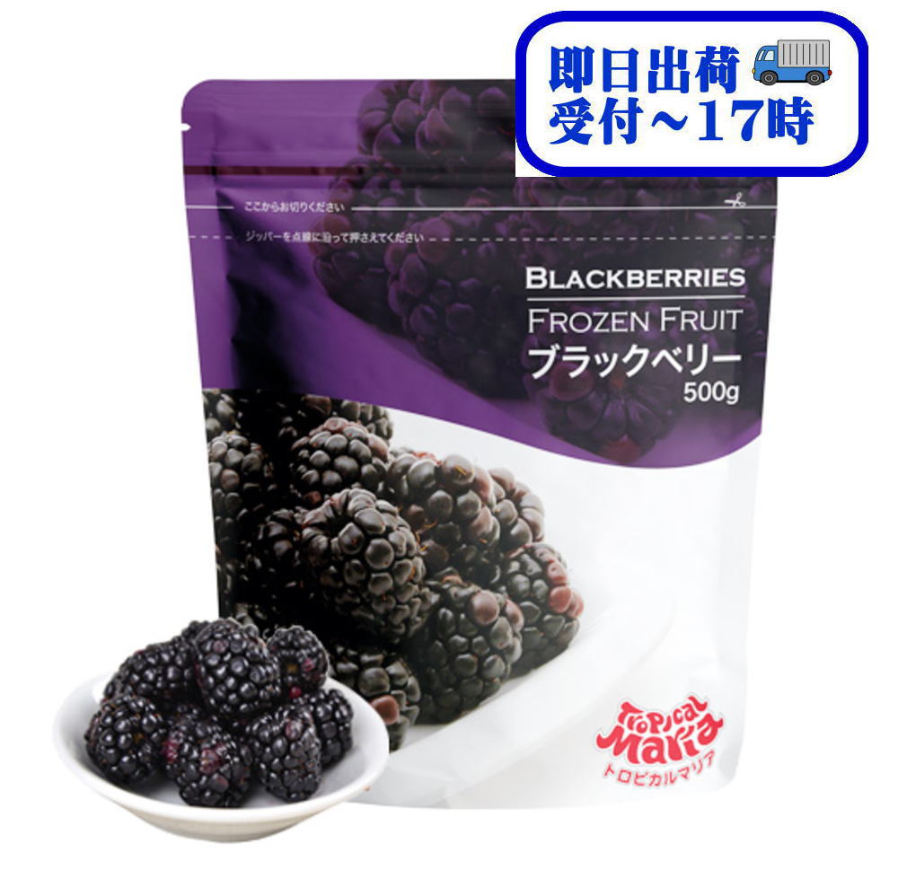 【即日出荷】トロピカルマリア 業務用 チリ産 ブラックベリー 500g【冷凍】