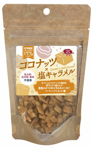【送料無料(メール便)】恒食　NaturalBeen　ココナッツx塩キャラメル　50g