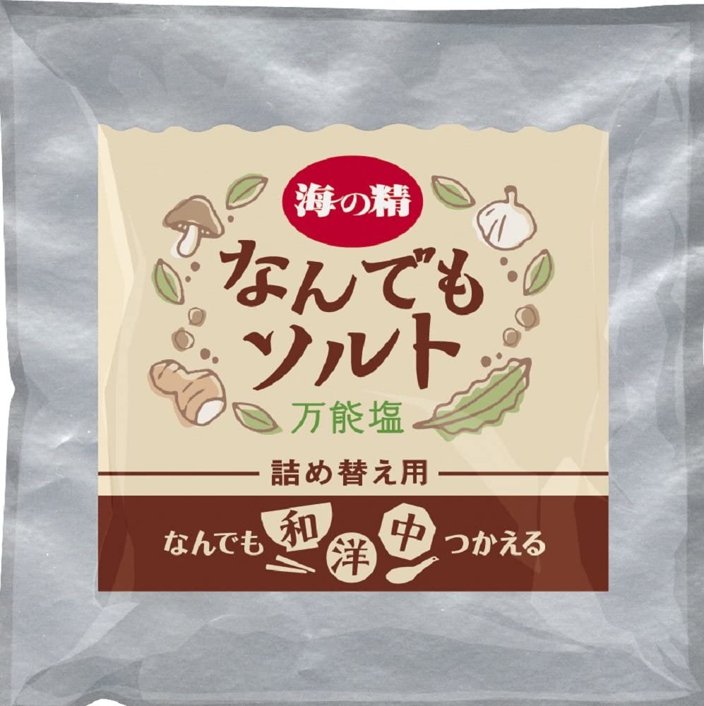 【送料無料】恒食　海の精　なんでも ソルト　詰替用　58g　x2個セット