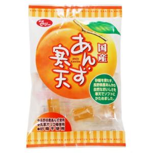 恒食　光陽製菓　あんず 寒天　110g