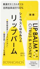 【送料無料(メール便)】リップバーム　ホーリーバジル＆ハニー 4.5gx2個セット ボタニカノン