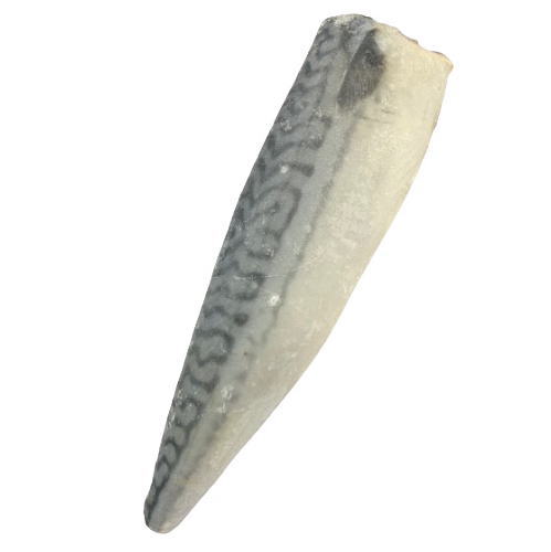 【朝市場直行】冷凍サバ　無塩サバ　フィレ　一切れ（30入サイズ）（骨取り済）ノルウェ　160g位【冷凍】のサムネイル