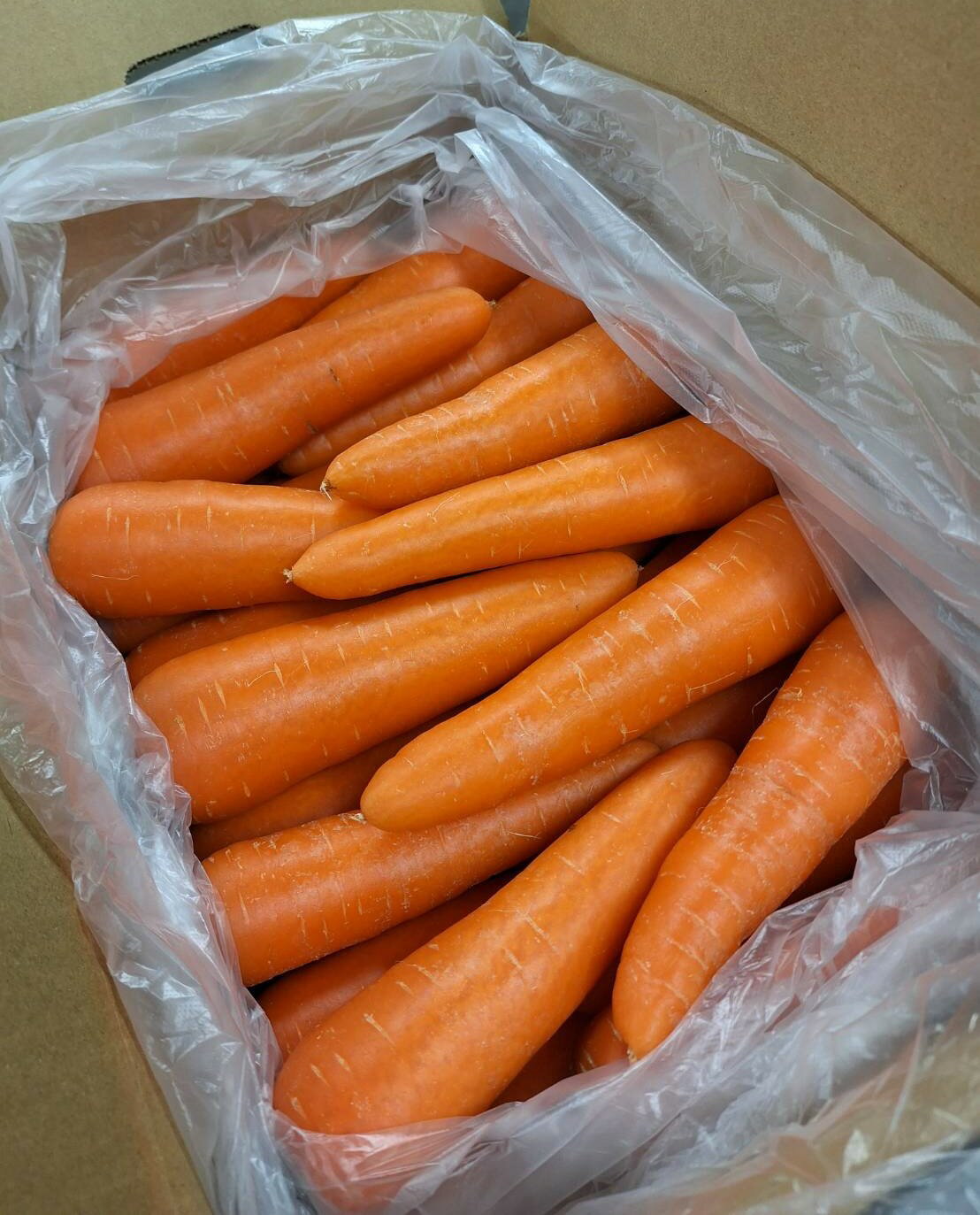 【有機認証】北海道　帯広の有機人参（洗い） 10kg箱【冷蔵】