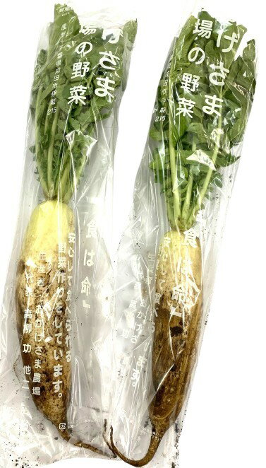 【農薬未使用】千葉県 おかげさまの大根(葉付土付)1本 x2個セット【冷蔵】
