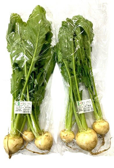 【有機認証】千葉県 さんぶの有機小かぶ(3〜5個入り)約500gP x2個セット【冷蔵】