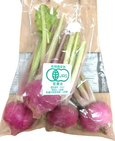 【有機認証】山梨県 タテノファームの赤かぶ 1P(2〜5個入り)x2個セット【冷蔵】