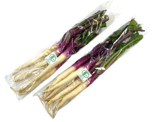 【有機認証】山梨県 タテノファームの日野菜かぶ(3〜5本入り)約500gP x2個セット【冷蔵】